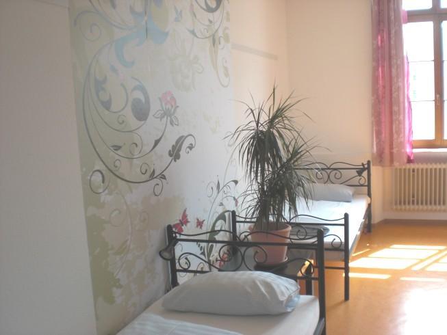 Hostel Steffis *